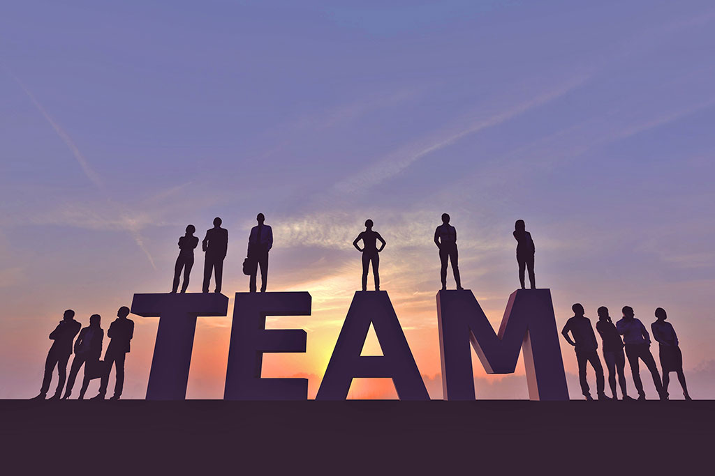 Meet the Team