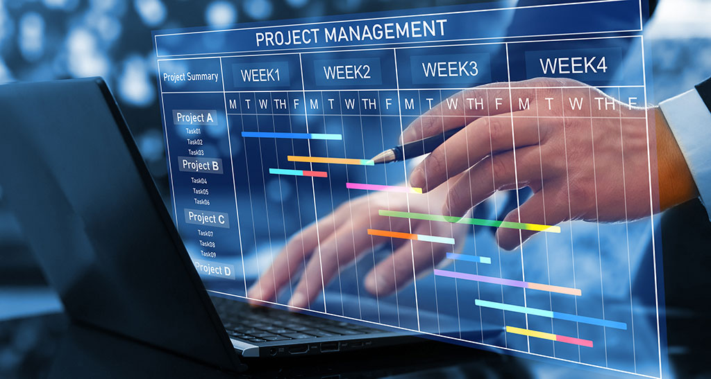 project governance services